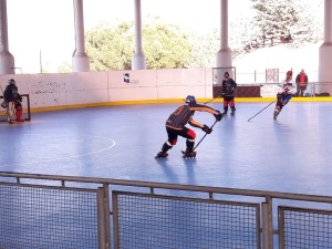 hockey_2